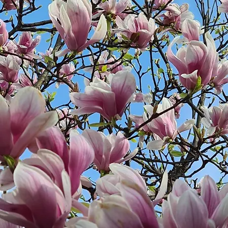 アパート Memories *