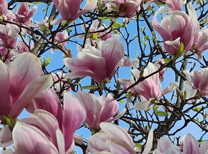 Appartamento Memories *